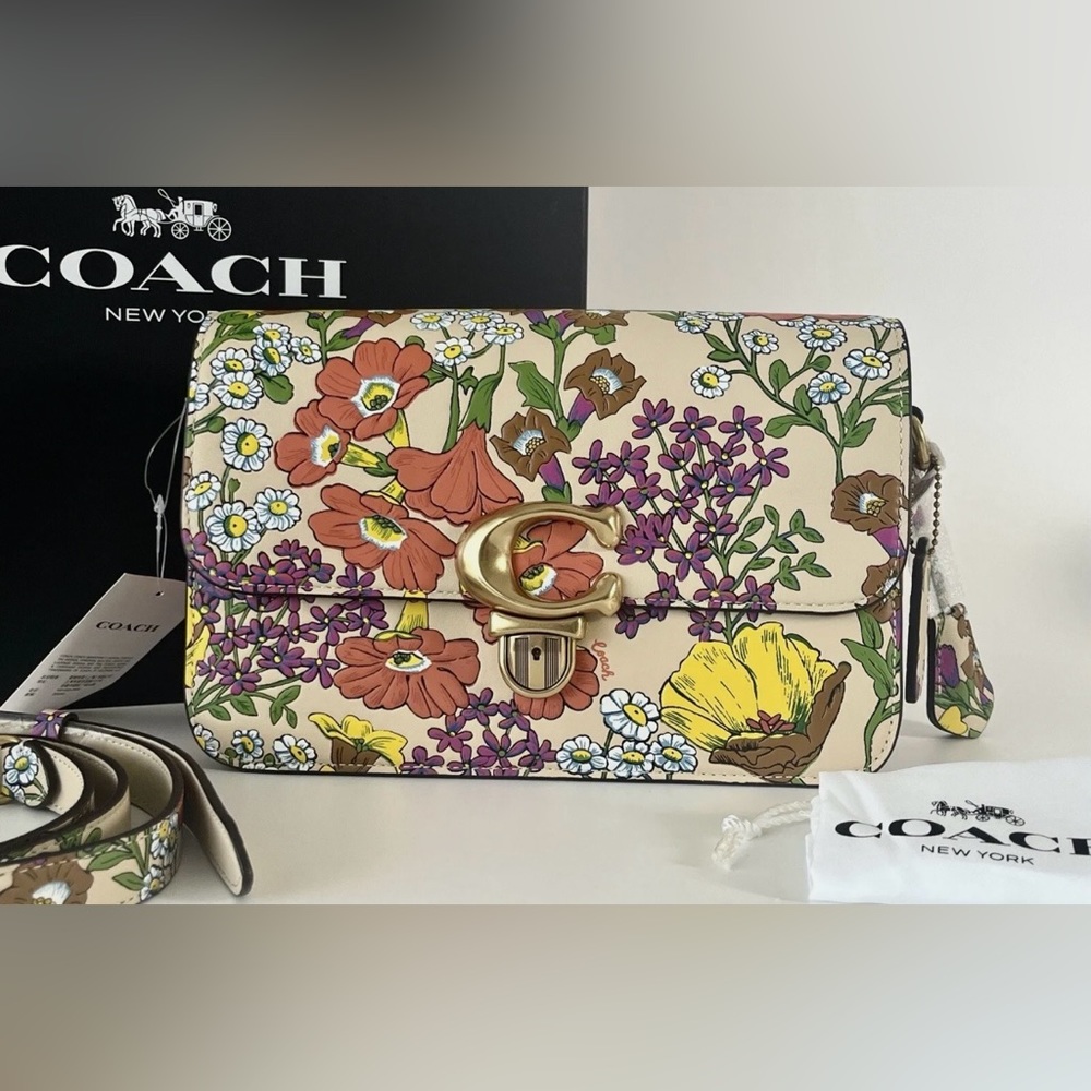LOOKING FOR COACH BAG